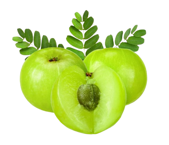 Indian Gooseberry